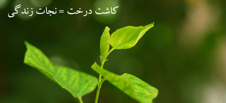 پوستر روز درختکاری,نقاشی روز درختکاری