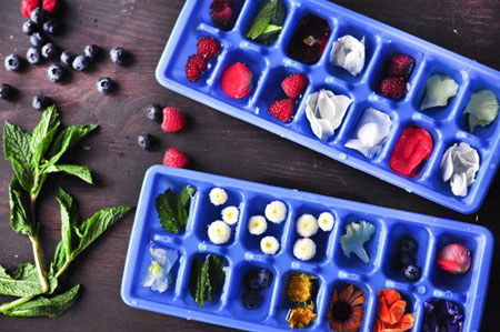 تزیین یخ با سبزیجات,تزیین یخ با میوه های تابستانی