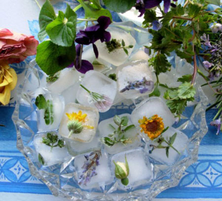طرز تزیین کردن یخ با سبزیجات,تزیین یخ با گل و میوه های تابستانی