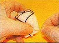 تزیین سالاد با ترب