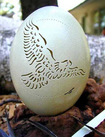 هنر نمایی با پوست تخم مرغ !