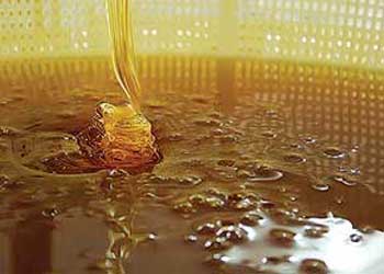 معجزه عسل و دارچین در کاهش وزن