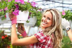 تمیز کردن گیاهان آپارتمانی , نگهداری گل های آپارتمانی