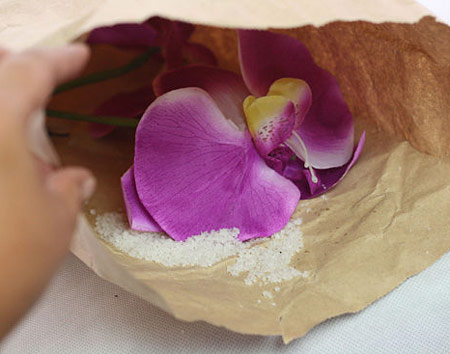 نحوه تمیز کردن گل های مصنوعی,تمیز کردن گل با نمک