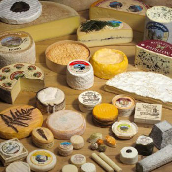 آشنایی با انواع پنیر,موارد مصرف پنیر