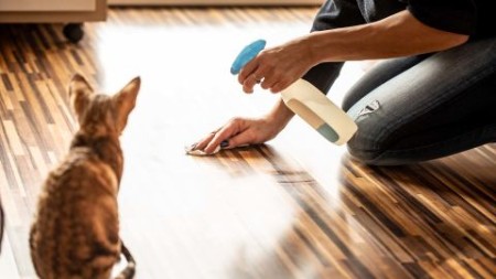 نکات مهم درمورد نظافت خانه با حیوان خانگی,ترفندهای نظافت منزل با حیوانات خانگی,چگونه با وجود حیوانات خانگی