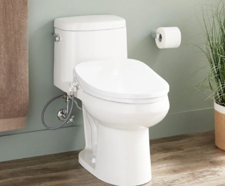 شیوه استفاده از توالت فرنگی,استفاده از توالت فرنگی,نحوه استفاده از توالت فرنگی را به راحتی یاد بگیرید
