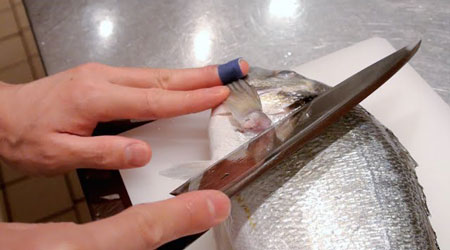 چگونه پوست ماهی را جدا کنیم,چگونه پوست ماهی یخ زده را جدا کنیم,پوست کندن ماهی