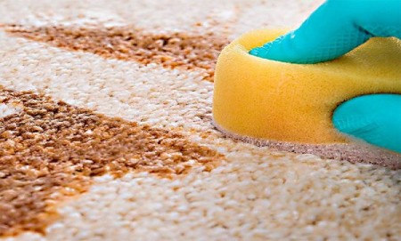 طریقه استفاده از شامپو فرش,نحوه استفاده از شامپو فرش