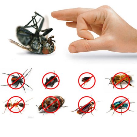 راههایی برای جلوگیری از ورود حشرات به خانه,راهکارهایی برای جلوگیری از ورود حشرات به خانه