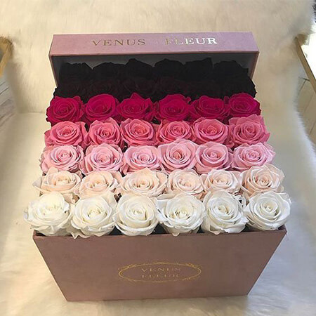 جعبه های گل رز, تصاویر جعبه های گل رز