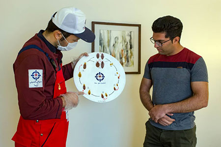 سمپاشی ساس سمپاشی,از بین بردن حشرات,سمپاشی ساس