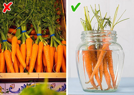 روش نگهداری از هویج,نکاتی برای نگهداری از انواع مواد غذایی