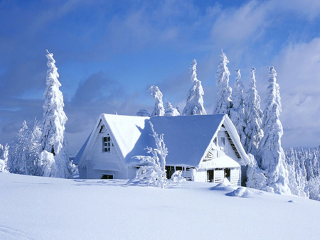 مناظر برفی, زیباترین منظره های برفی