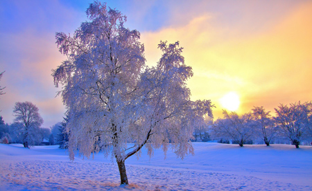 مناظر برفی,کارت پستال های زمستان