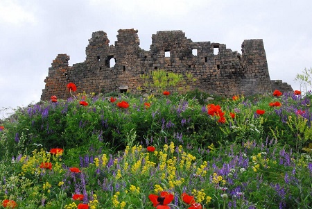 عکس های قلعه امبرد, بزرگترین قلعه ارمنستان, تاریخچه قلعه امبرد