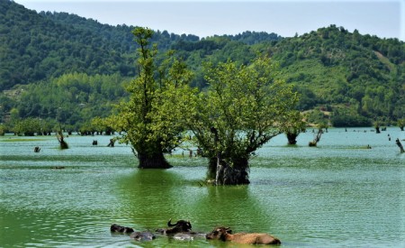 عکس استارا, عکس آستارا,آشنایی با جاهای دیدنی آستارا