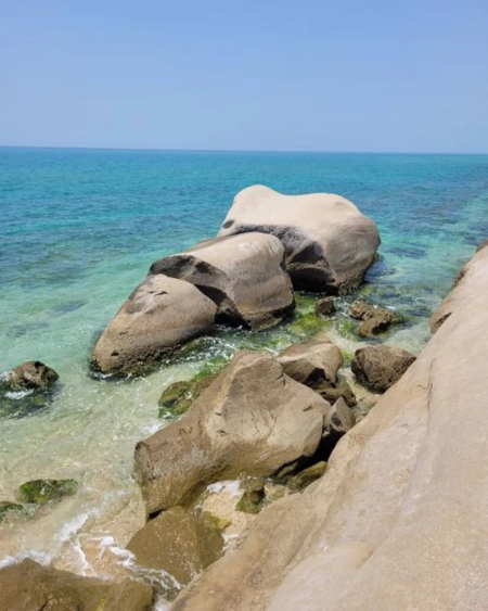 لاک پشت پوزه عقابی دستیر ساحل دستیر, ساحل دستیر پارسیان