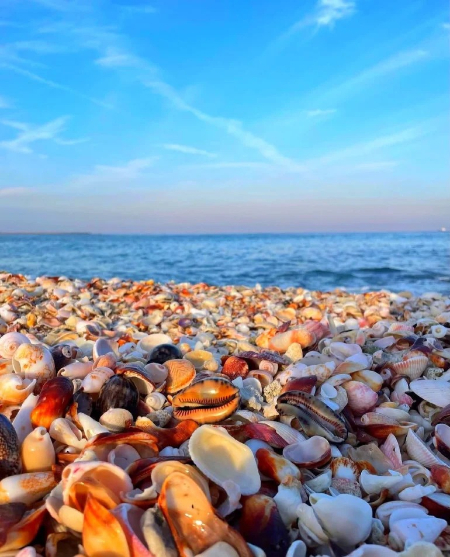 کمپینگ ساحل دستیر ساحل دستیر, ساحل دستیر پارسیان