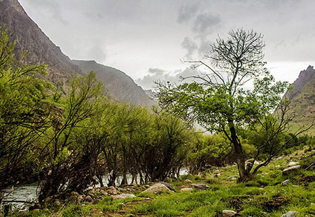 چشمه ناز,چشمه ناز ونک,تصاویر چشمه ناز