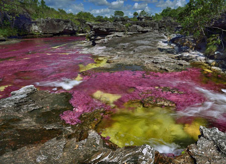رودخانه,رودخانه 5 رنگ در کلمبیا,عجایب طبیعت