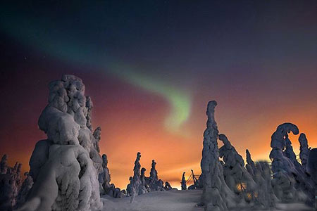 جنگل یخ زده,جنگل یخ زده در فنلاند,تصاویر جنگل یخ زده
