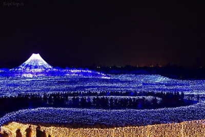تونل روشنایی,عكس هايي از تونل روشنايي در ژاپن,باغ ناباناساتو