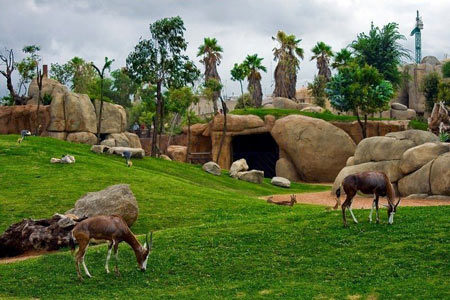 باغ وحش, باغ وحش بیوپارک والنسیا, بهترین باغ وحش های دنیا