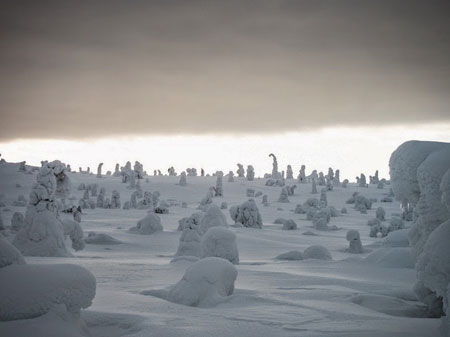 پارک ملی ریسیتونتوری در فنلاند,تصاویر پارک ملی فنلاند در زمستان