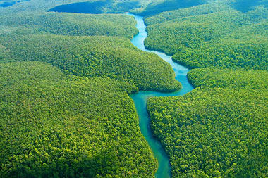 جنگل آمازون, جنگل آمازون کجاست, جنگل های آمازون
