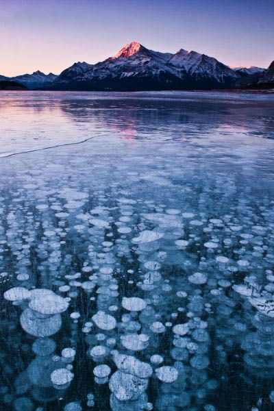 دریاچه Abraham,کوه ها راکی کانادا,حباب های منجمد هوا در دریاچه Abraham,عجایب گردشگری