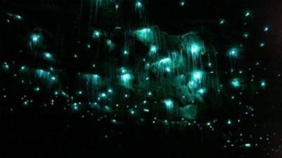 غار,غار وايتومو گلوورم,عجایب گردشگری
