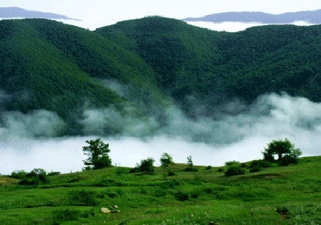 , جنگل 190 میلیون ساله ایران را ببینید