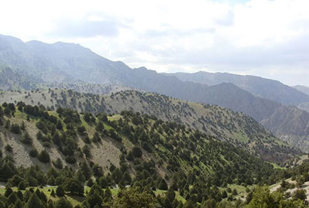 آبشار زیبای نورالی,آبشار نورالی
