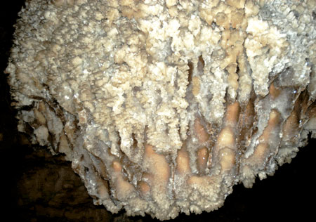 غار نباتی یزد،غار نباتی