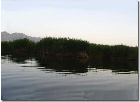 دریاچه زریوار در شهر مریوان