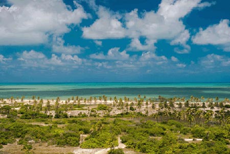 برزیل,جاهای دیدنی برزیل,گردشگری,تور گردشگری