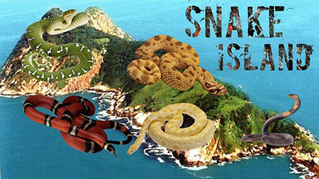 جزیره مارها,تصاویر جزیره مارها,جزیره مارها کجاست