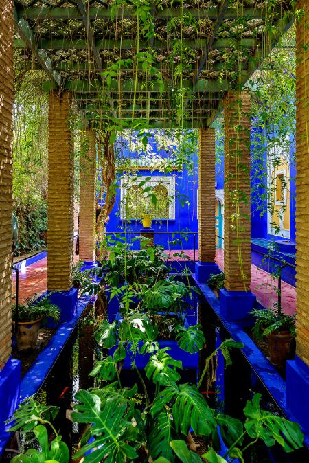 باغ ماژورل مراکش,باغ ماجوریل,تصاویر باغ ماژورل