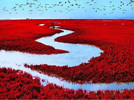 عکس های ساحل سرخ چین, شکل گیری ساحل سرخ چین, جاذبه ی گردشگری ساحل سرخ