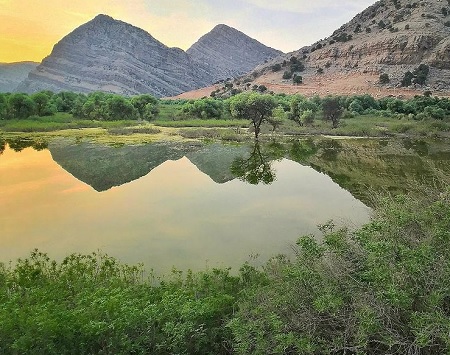  پوشش گیاهی دشت شیمبار, حیوانات دشت شیمبار, مناطق دیدنی دشت شیمبار