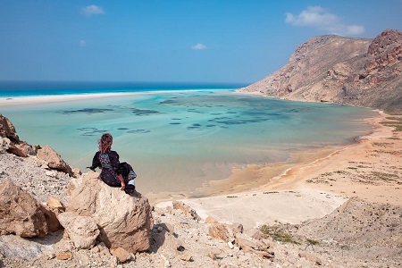 امارات جزیره سقطری, تاریخچه جزیره سقطری, گونه های گیاهی جزیره سقطرا