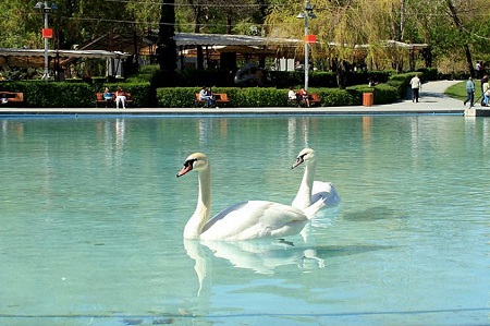 تاریخچه دریاچه قو , پارک دریاچه سوان , دریاچه سوان ایروان