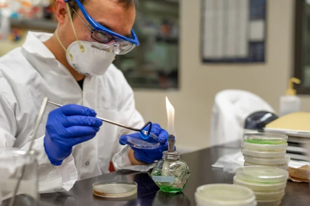 شغل میکروبیولوژیست آینده روشنی دارد معرفی شغل میکروبیولوژیست, رشته میکروبیولوژی چیست