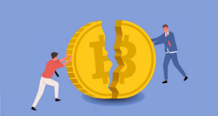 هاوینگ بیت کوین, نمودار هاوینگ بیت کوین