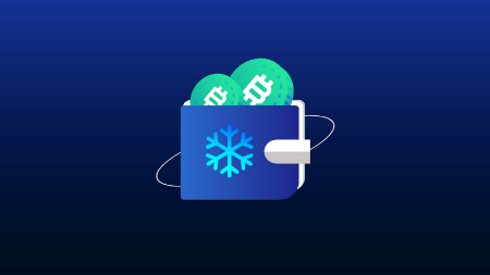 کیف پول سرد ارز دیجیتال, امنیت کیف پول سرد