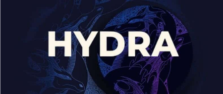 Hydra Pay, معایب Hydra Pay