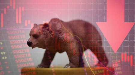 بازار نزولی کریپتو, بازار خرسی ارز دیجیتال