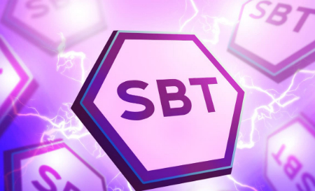توکن سول‌باند, SBT چیست