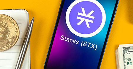 ارز استکس, ارز دیجیتال stx, سرمایه گذاران  در Stacks